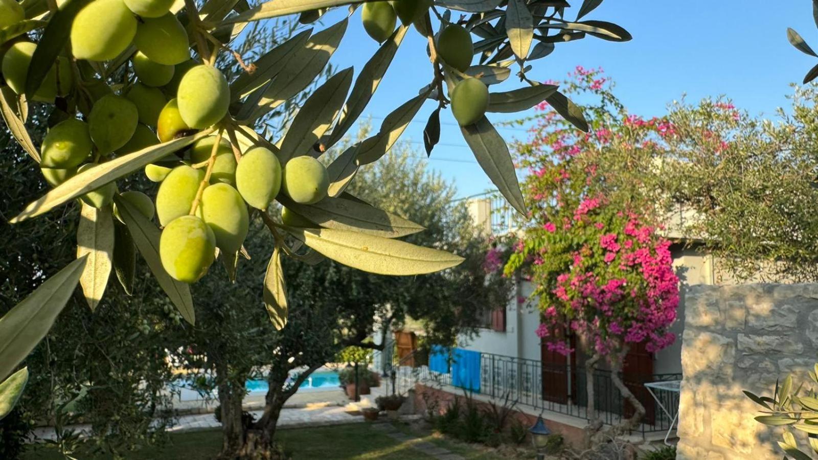 Lily'S Cottage Platanias Extérieur photo