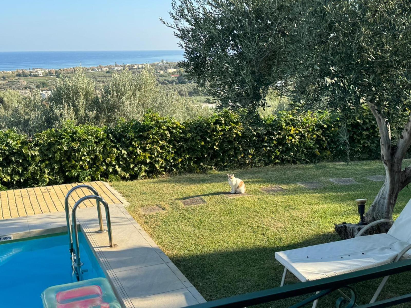 Lily'S Cottage Platanias Extérieur photo